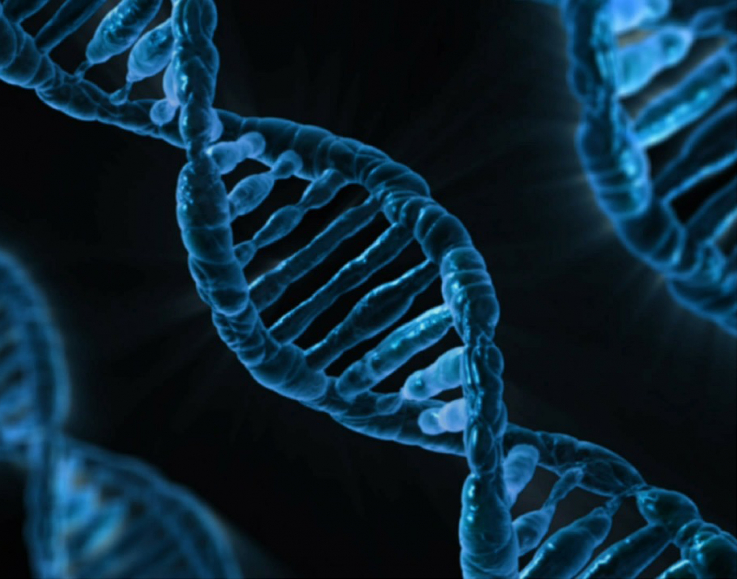 Изменение генома клетки. Геномная ДНК. ДНК это в биологии. Мутации генома. Ген это в биологии.