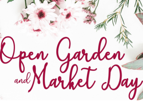 Debbie’s legacy blooms as Brucedale opens its gardens for women’s cancer research